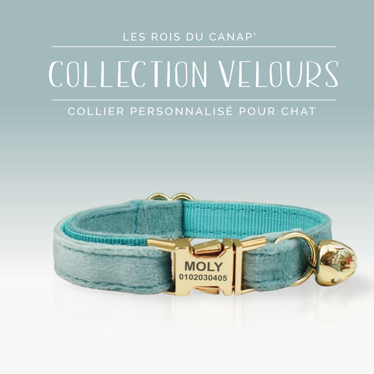 Collier Chat Personnalisé - Velours Lisse - Bleu - Collier