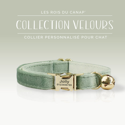Collier Chat Personnalisé - Velours Lisse - Vert Clair - Collier