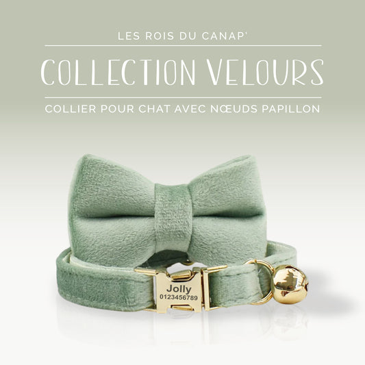 Collier Chat Personnalisé avec Nœud - Velours Lisse - Vert Clair - Collier