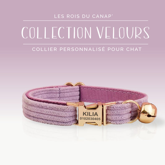 Collier Chat Personnalisé - Velours Côtelé - Violet Mauve - Collier