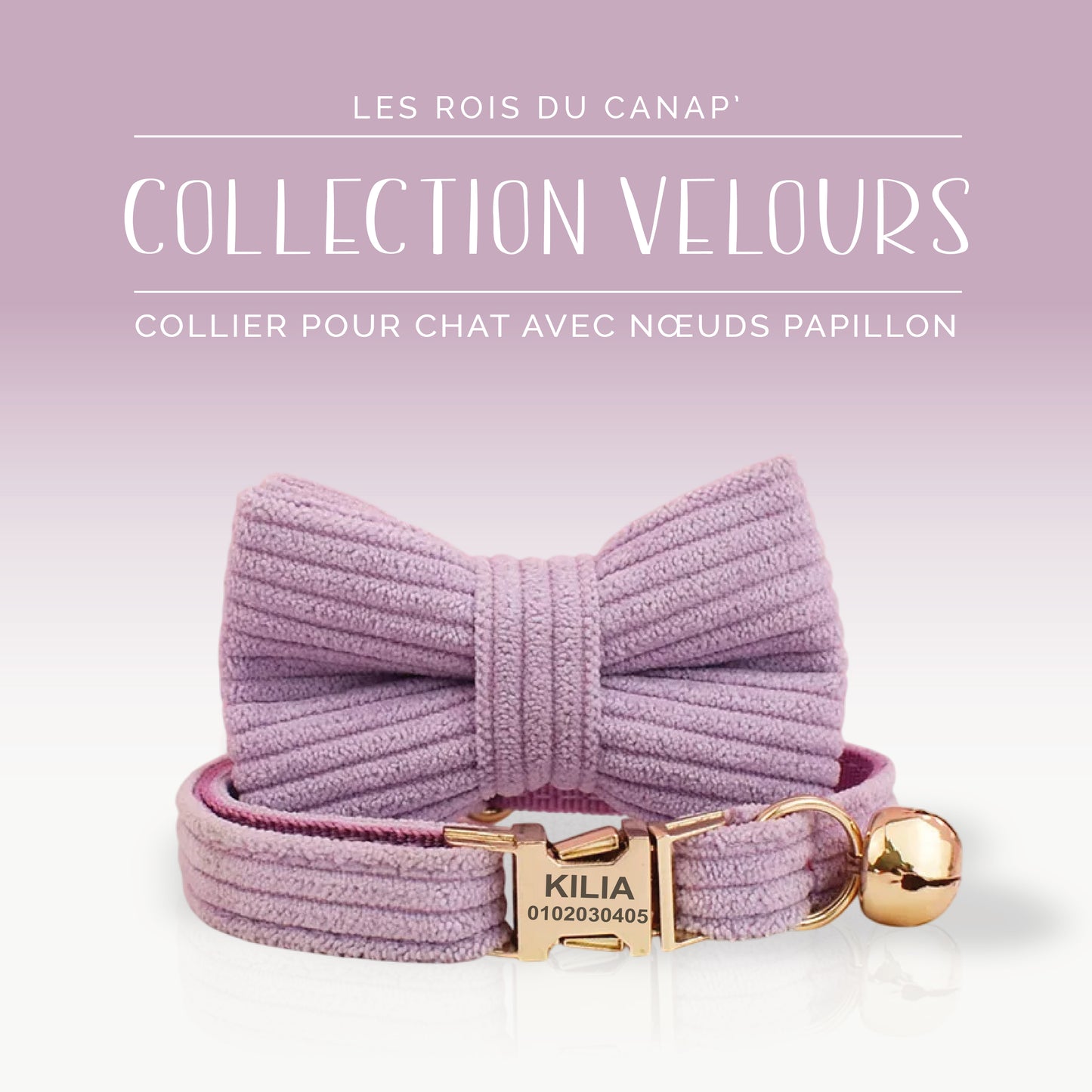 Collier Chat Personnalisé avec Nœud - Velours Côtelé - Violet Mauve - Collier