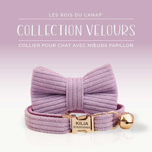 Collier Chat Personnalisé avec Nœud - Velours Côtelé - Violet Mauve - Collier