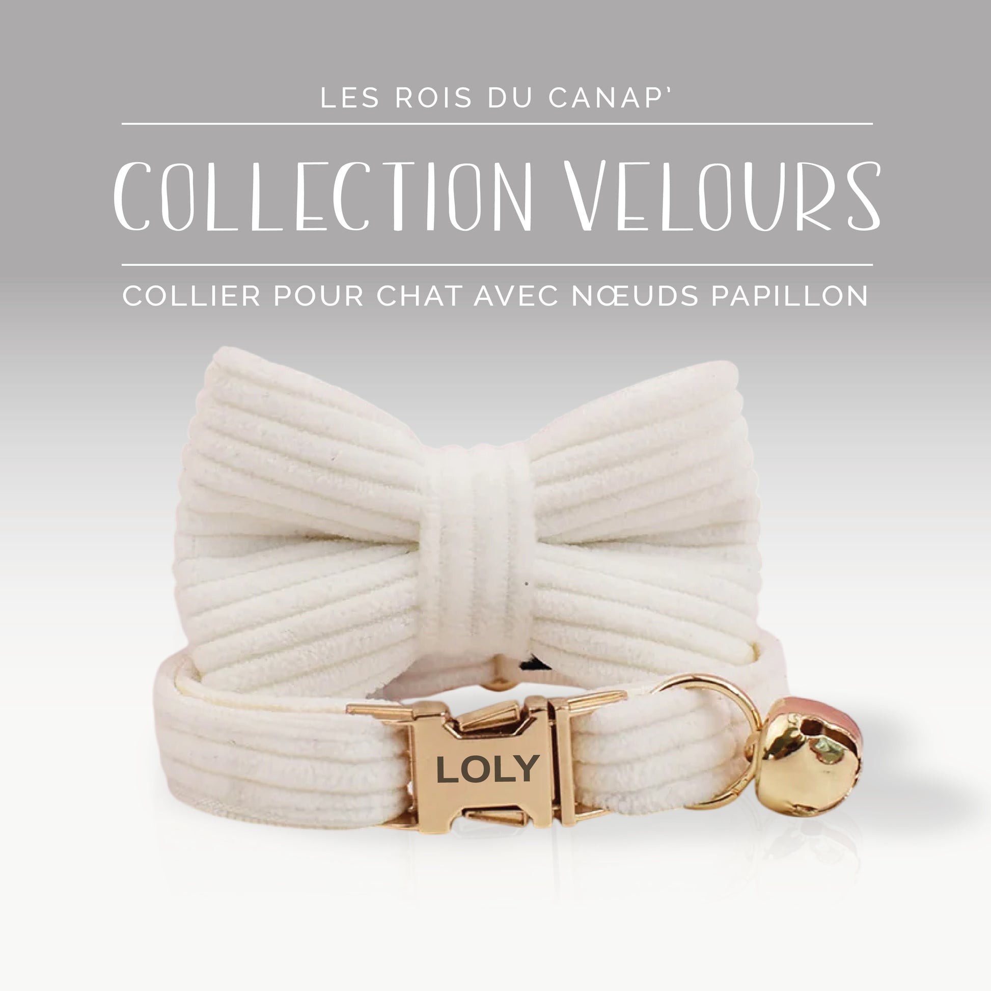 Collier Chat Personnalisé avec Nœud - Velours Côtelé - Blanc - Collier