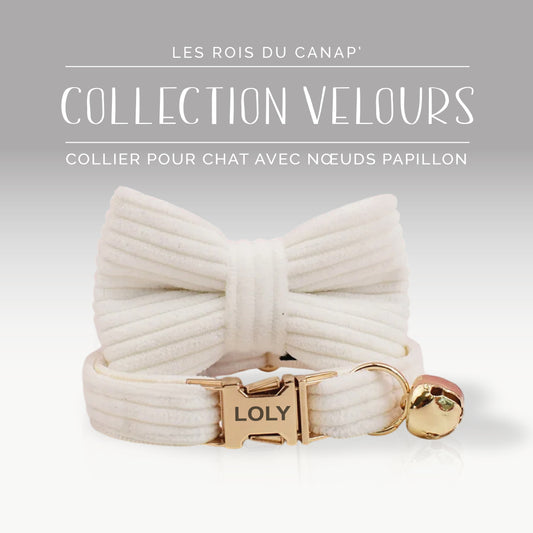 Collier Chat Personnalisé avec Nœud - Velours Côtelé - Blanc - Collier