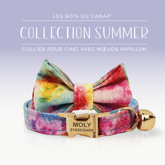 Collier Chats personnalisé avec Nœud - Summer - Arc en Ciel - Collier