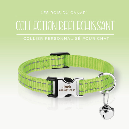 Collier Chats Personnalisé - Réfléchissant - Vert - Collier