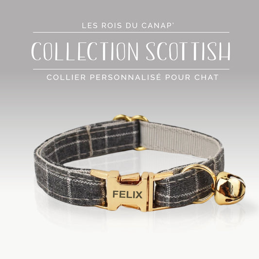 Collier Chats personnalisé - Scottish - Gris - Collier