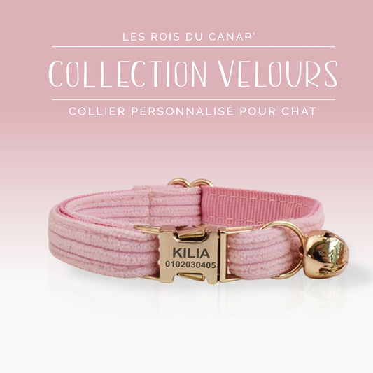 Collier Chat Personnalisé - Velours Côtelé - Rose Bonbon - Collier