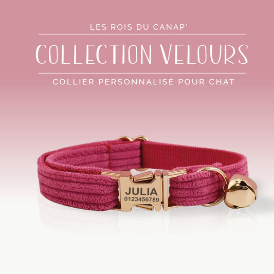 Collier Chat Personnalisé - Velours Côtelé - Rose Fushia - Collier