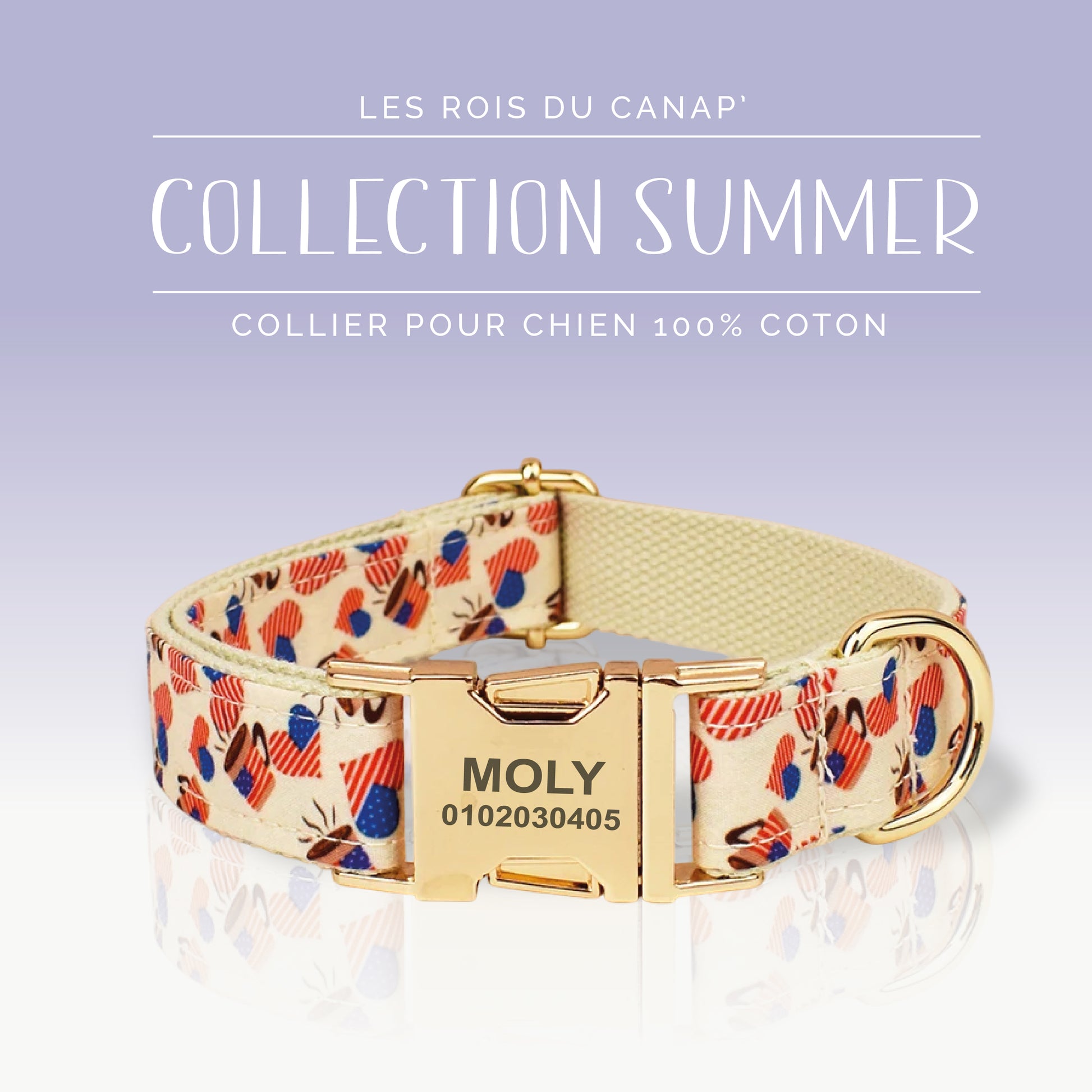  Collier Chien Personnalisé - Summer - Cœur Américain