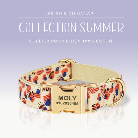  Collier Chien Personnalisé - Summer - Cœur Américain
