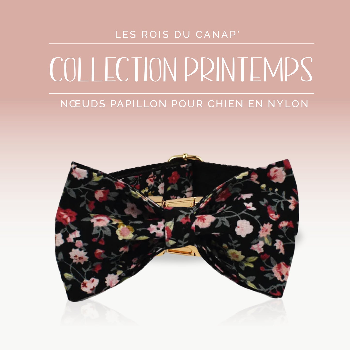 Nœud Papillon Chien - Printemps - Noir à fleurs - Collier Nœud Papillon Chien - Printemps - Noir à fleurs