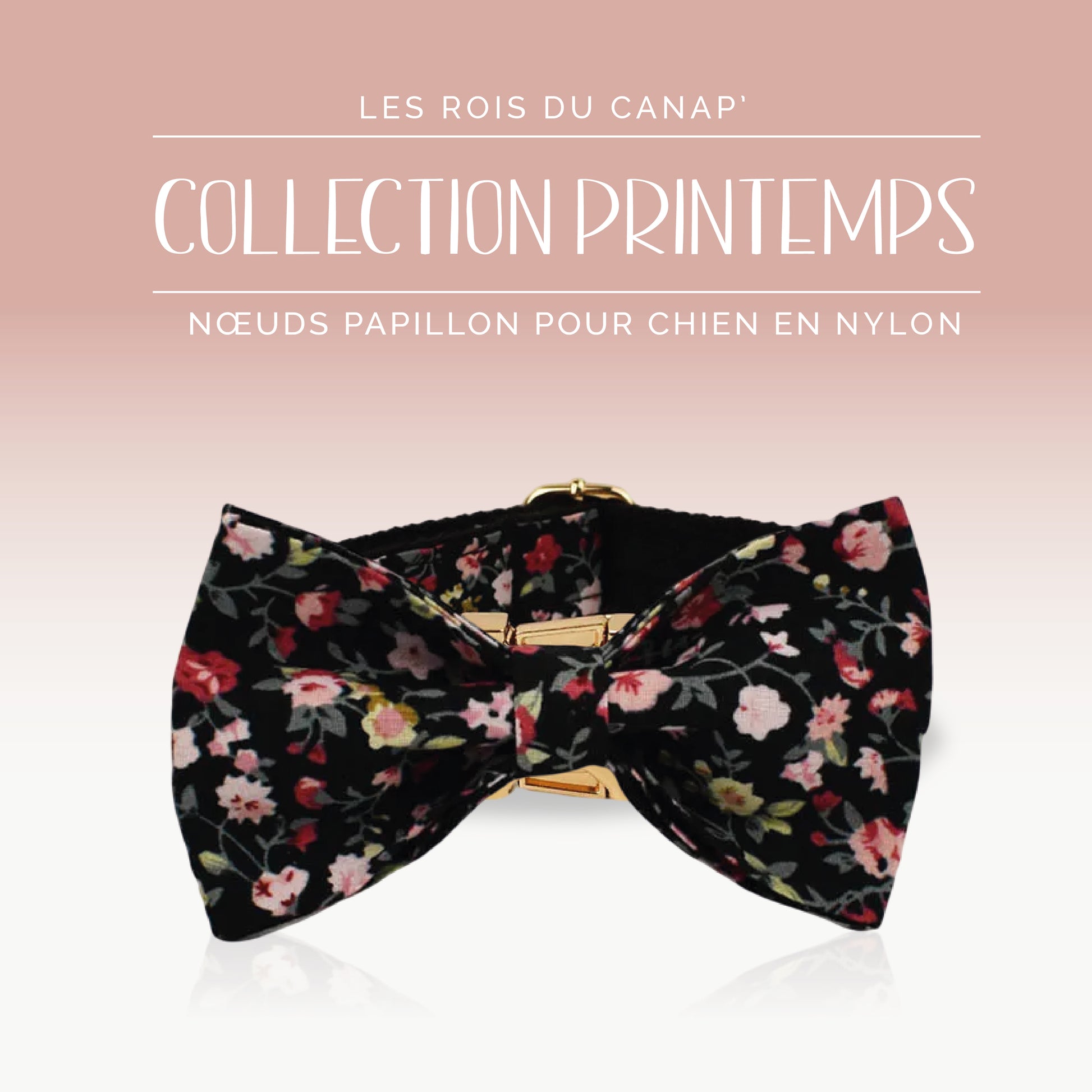 Nœud Papillon Chien - Printemps - Noir à fleurs - Collier Nœud Papillon Chien - Printemps - Noir à fleurs