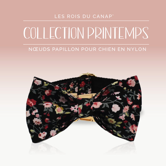 Nœud Papillon Chien - Printemps - Noir à fleurs - Collier Nœud Papillon Chien - Printemps - Noir à fleurs