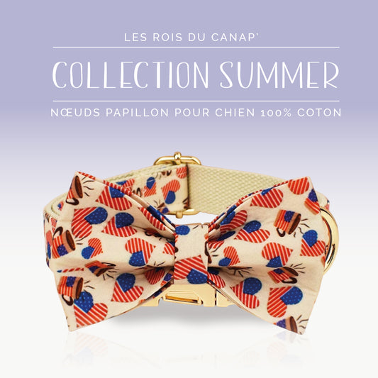 Nœud Papillon Chien - Summer - Cœur Américain - Collier Nœud Papillon Chien - Summer - Cœur Américain