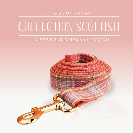 Laisse Chien - Scottish - Rose - Collier Laisse Chien - Scottish - Rose