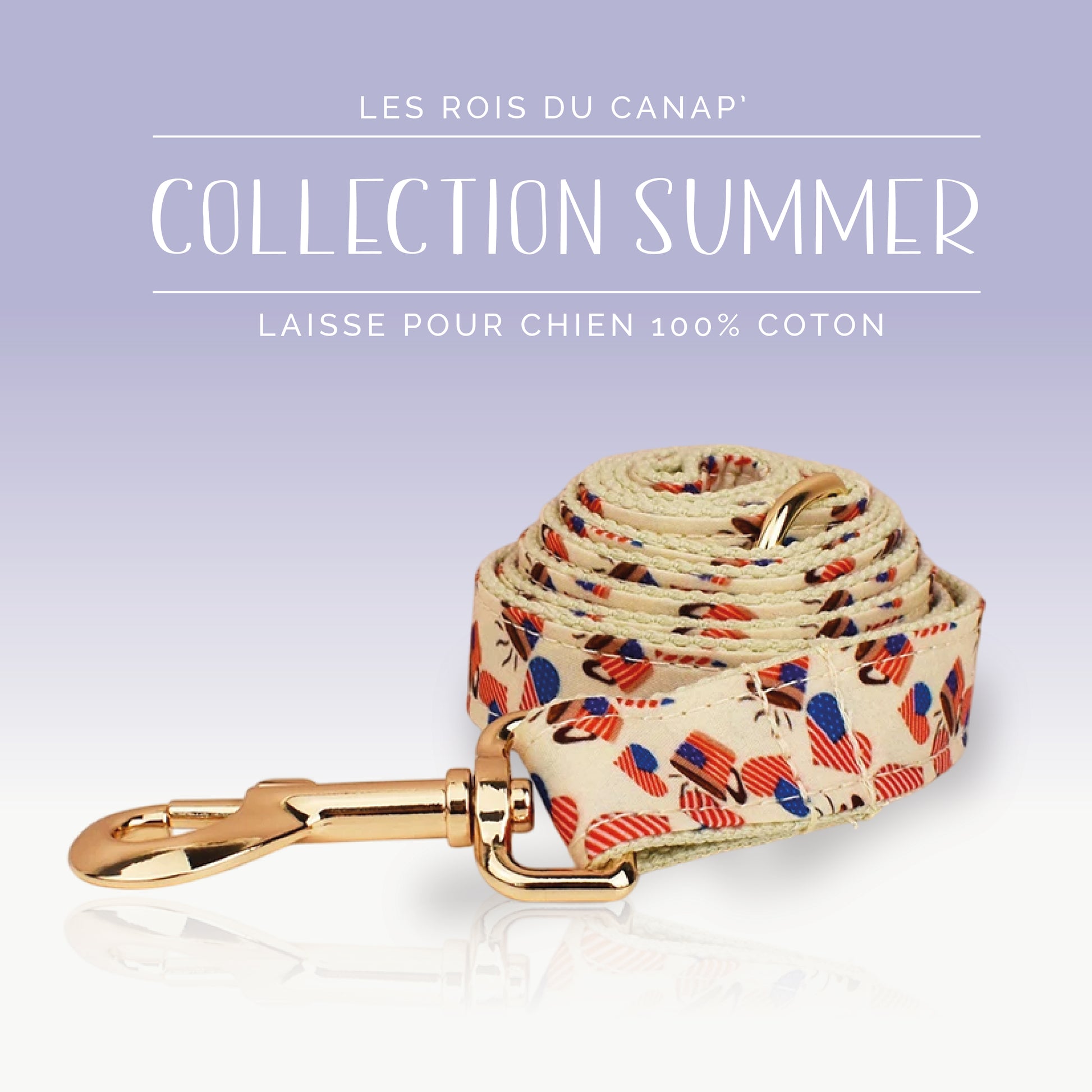 Laisse Chien - Summer - Cœur Américain