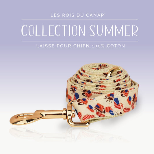 Laisse Chien - Summer - Cœur Américain