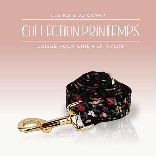 Laisse Chien - Printemps - Noir à fleurs - Collier Laisse Chien - Printemps - Noir à fleurs