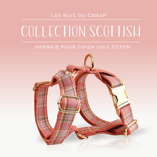 Harnais Chien - Scottish - Rose - Collier Harnais Chien - Scottish - Rose
