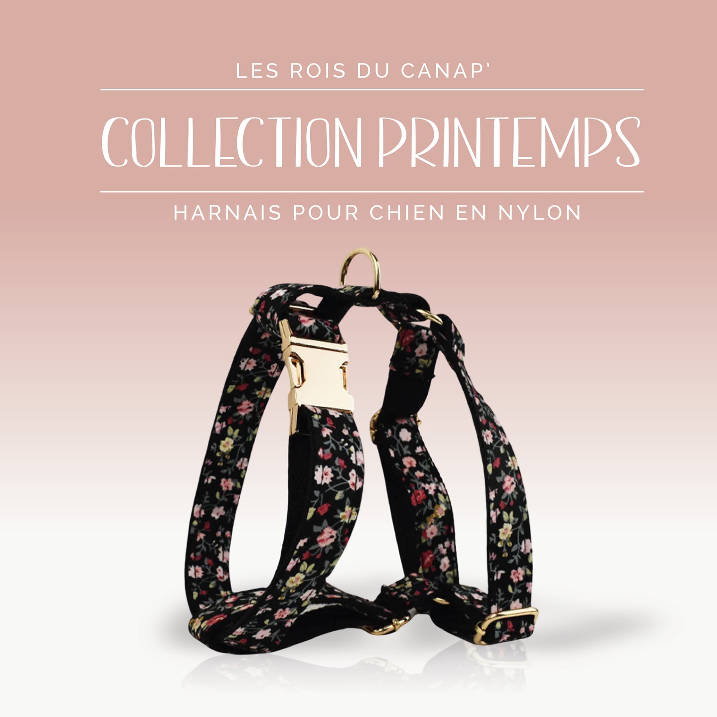 Harnais Chien - Printemps - Noir à fleurs - Collier Harnais Chien - Printemps - Noir à fleurs