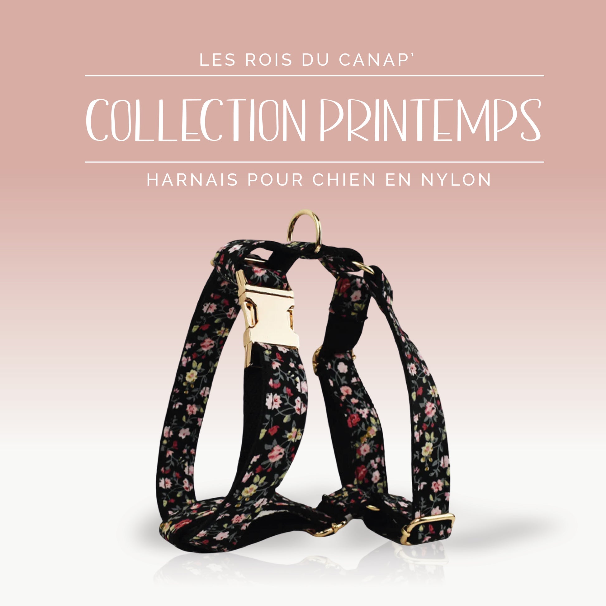 Harnais Chien - Printemps - Noir à fleurs - Collier Harnais Chien - Printemps - Noir à fleurs