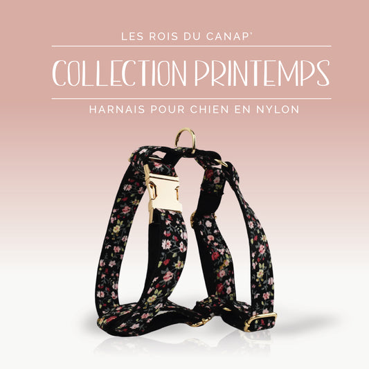 Harnais Chien - Printemps - Noir à fleurs - Collier Harnais Chien - Printemps - Noir à fleurs
