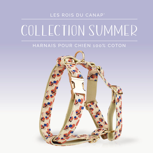Harnais Chien - Summer - Cœur Américain - Collier Harnais Chien - Summer - Cœur Américain