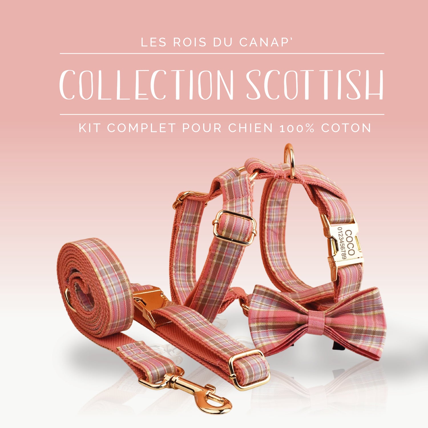 Kit Complet Chien 4 pièces - Scottish - Rose - Collier Kit Complet Chien 4 pièces - Scottish - Rose
