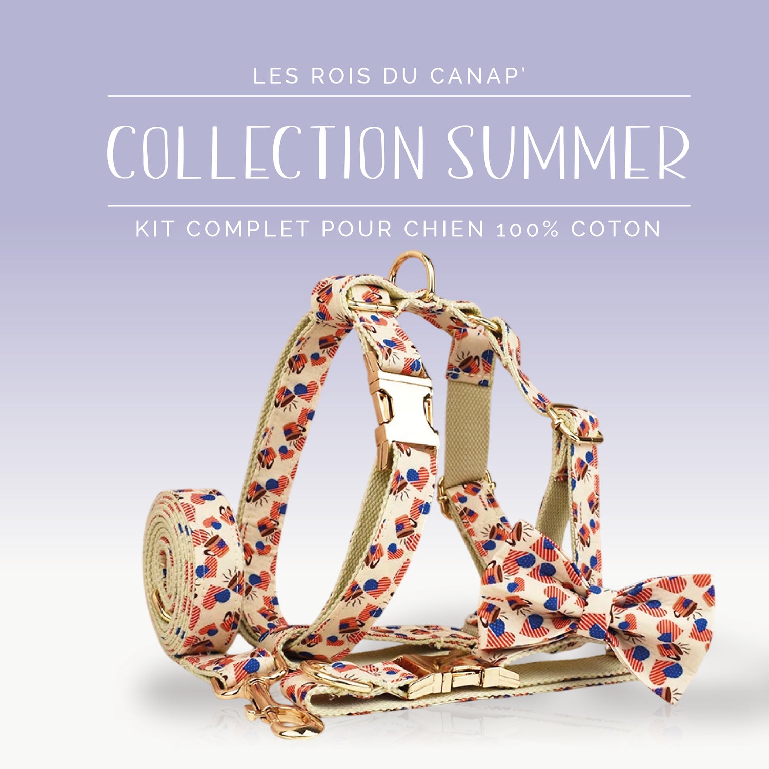 Kit Complet Chien 4 pièces - Summer - Cœur Américain - Collier