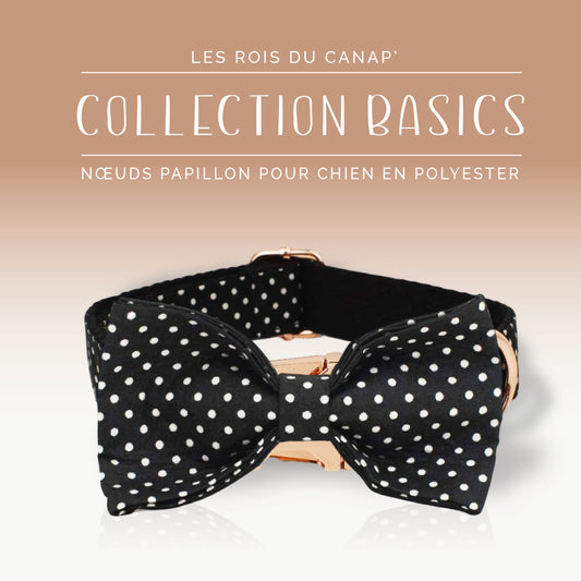 Nœud Papillon Chien - Collection - Noir à pois Blanc - Collier Nœud Papillon Chien - Collection - Noir à pois Blanc