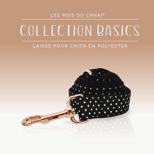 Laisse Chien - Basics - Noir à pois Blanc - Collier Laisse Chien - Basics - Noir à pois Blanc