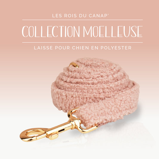 Laisse Chien - Moelleuse- Rose - Collier Laisse Chien - Moelleuse- Rose