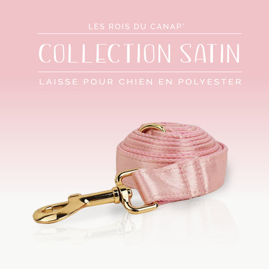 Laisse Chien - Satin - Rose - Collier Laisse Chien - Satin - Rose