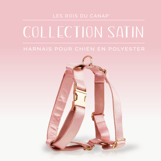 Harnais Chien - Satin - Rose - Collier Harnais Chien - Satin - Rose