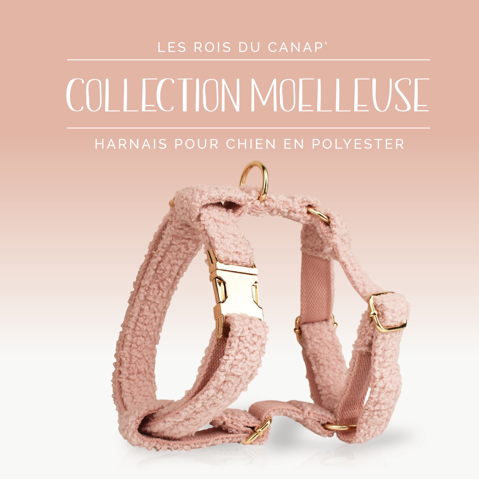 Harnais Chien - Moelleuse - Rose - Collier Harnais Chien - Moelleuse - Rose