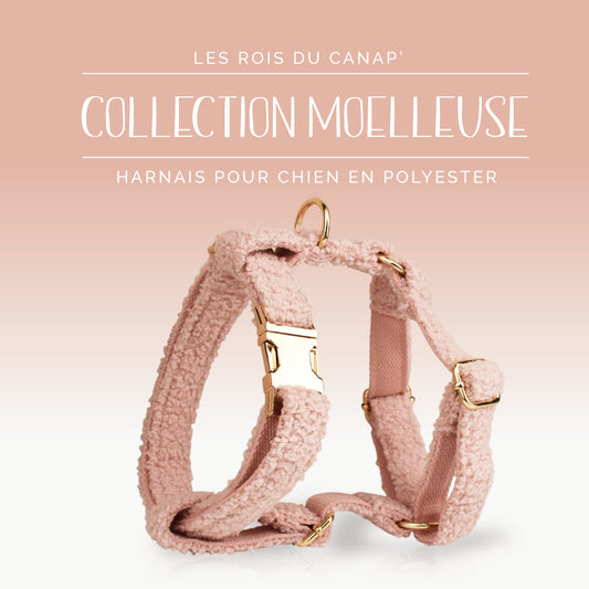 Harnais Chien - Moelleuse - Rose - Collier Harnais Chien - Moelleuse - Rose