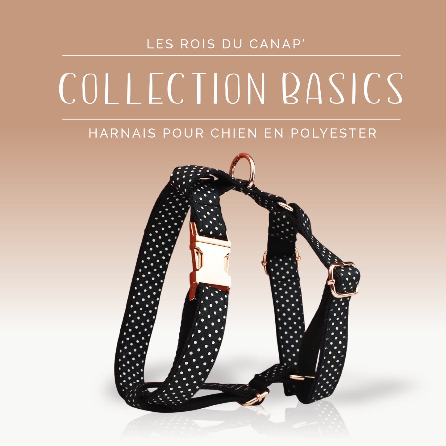 Harnais Chien - Basics - Noir à pois Blanc