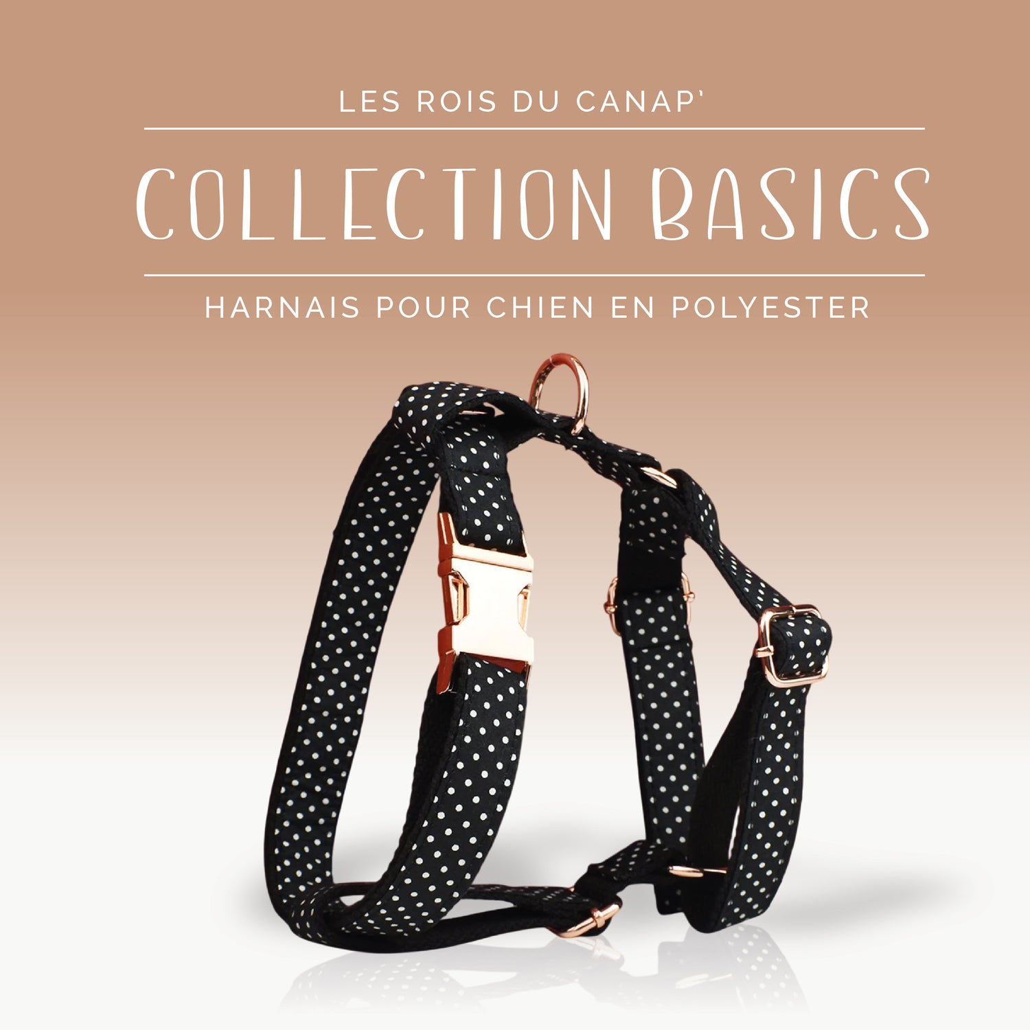Harness Dog - Basics - Black with white polka dots