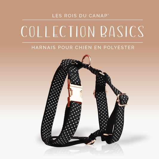 Harnais Chien - Basics - Noir à pois Blanc