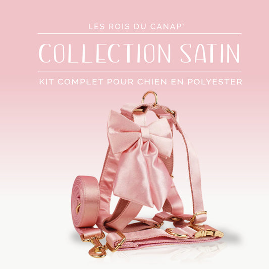 Kit Complet Chien 4 pièces - Satin - Rose
