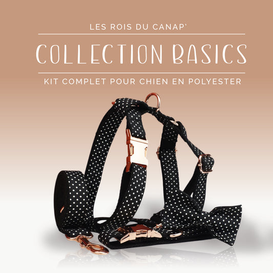 Kit Complet Chien 4 pièces - Basics - Noir à pois Blanc