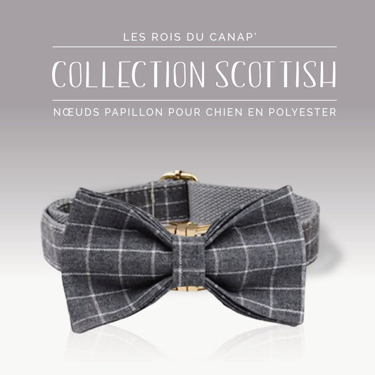 Nœud Papillon Chien - Scottish - Gris - Collier Nœud Papillon Chien - Scottish - Gris