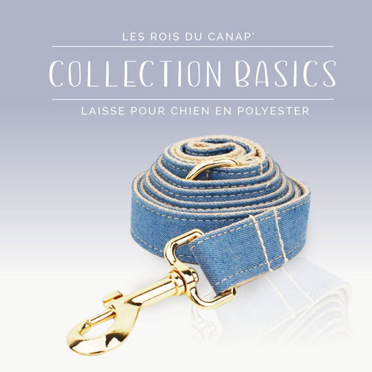 Laisse Chien - Collection Basics - Jeans - Collier Laisse Chien - Collection Basics - Jeans