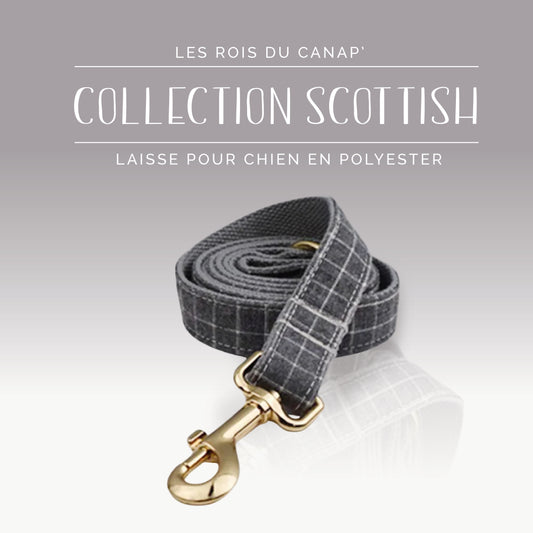 Laisse Chien - Scottish - Gris - Collier Laisse Chien - Scottish - Gris