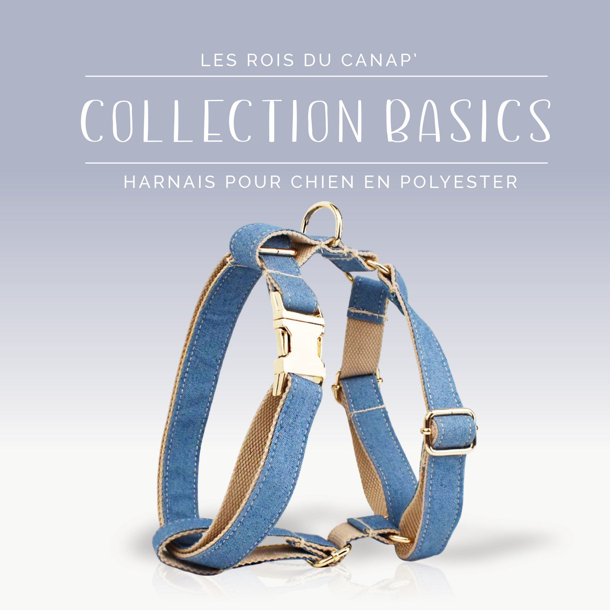 Harnais Chien - Basics - Jeans - Collier Harnais Chien - Basics - Jeans