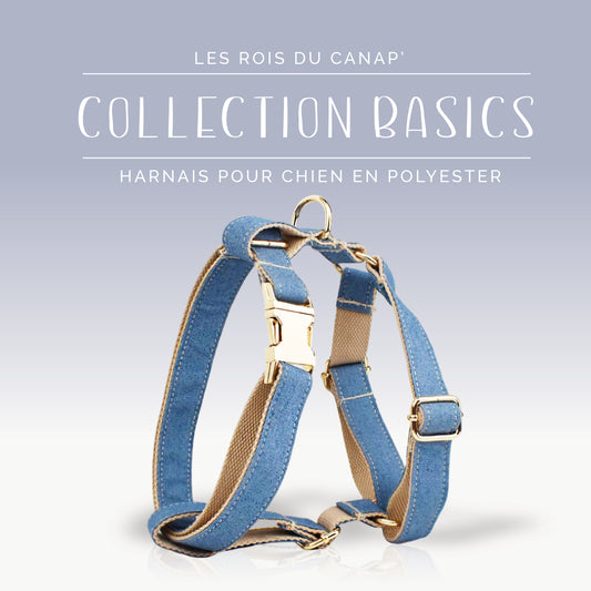 Harnais Chien - Basics - Jeans - Collier Harnais Chien - Basics - Jeans