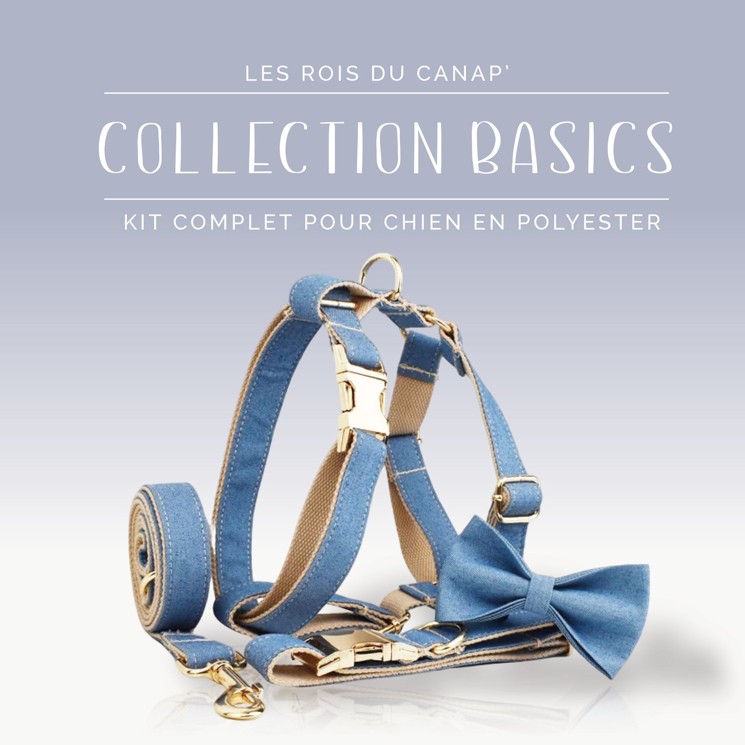 Kit Complet Chien 4 pièces - Basics - Jeans