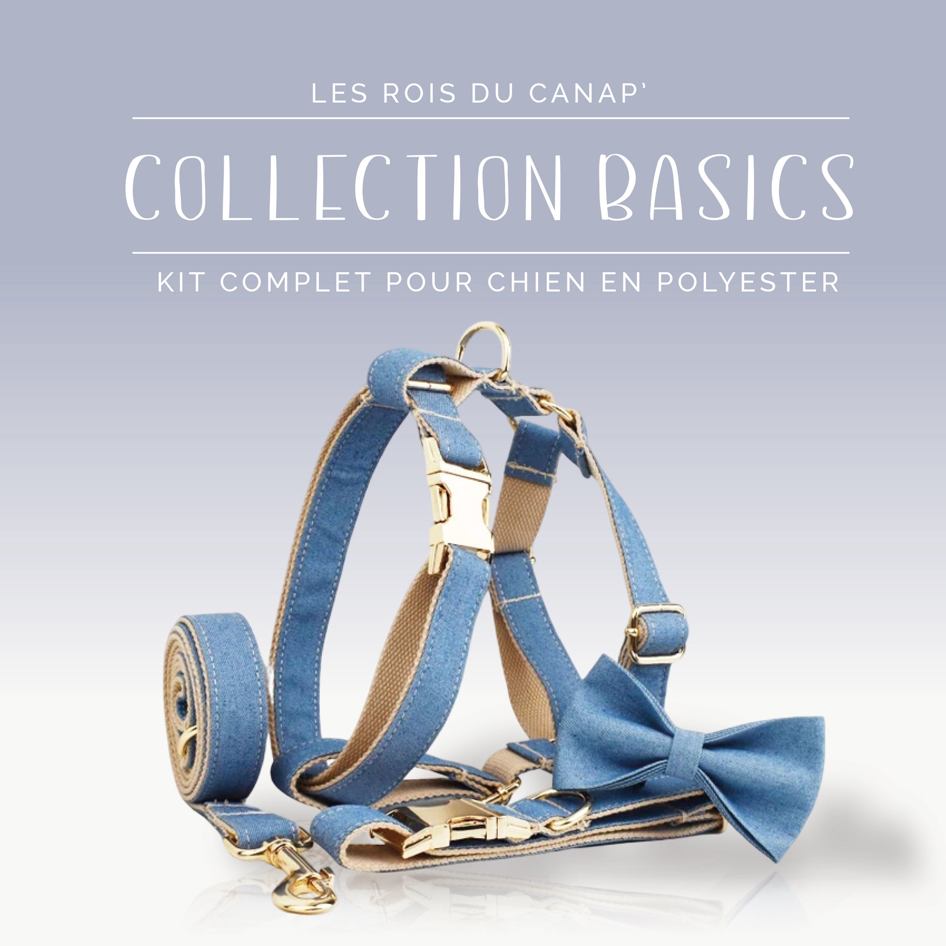 Kit Complet Chien 4 pièces - Basics - Jeans