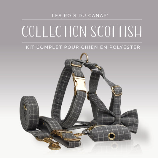 Kit Complet Chien 5 pièces - Scottish - Gris